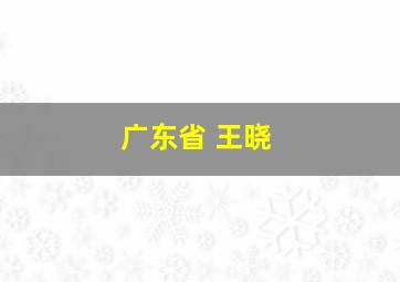 广东省 王晓